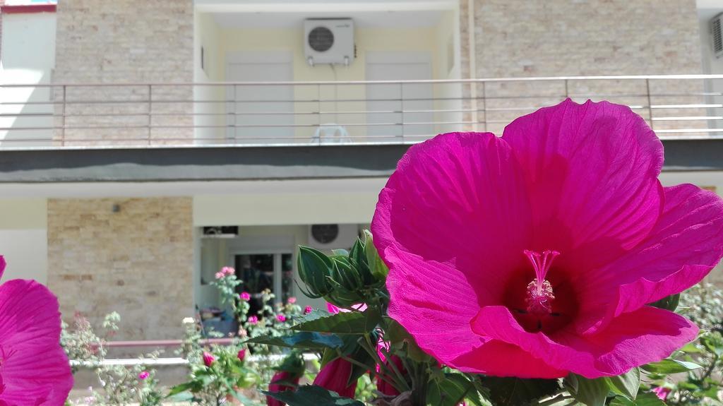 Familia Hotel Loutra Volvis Exterior photo